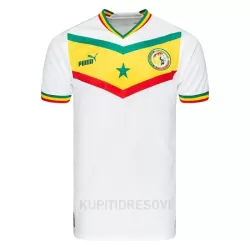 Dresovi Senegal Domaći SP 2022 Dresovi Senegal Domaći SP 2022