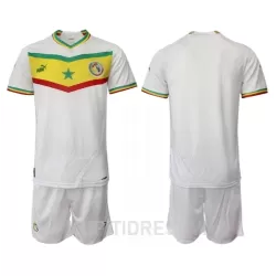 Dječji Dresovi Senegal Domaći SP 2022 Dječji Dresovi Senegal Domaći SP 2022