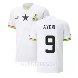 Dresovi Gana Ayew 9 Domaći Jordan SP 2022