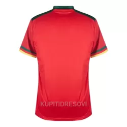Dresovi Kamerun Treći SP 2022