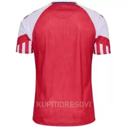 Dresovi Danska Domaći 2023