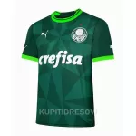 Dresovi Palmeiras Domaći 2023/24