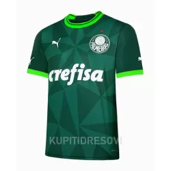 Dresovi Palmeiras Domaći 2023/24