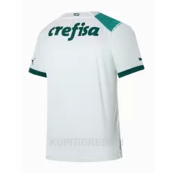 Dresovi Palmeiras Gostujući 2023/24