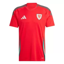 Dresovi Wales Domaći 2024 Dresovi Wales Domaći 2024