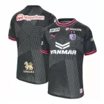 Dresovi Cerezo Osaka Treći 2024/25