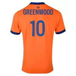 Dresovi Olympique Marseille Greenwood 10 Treći 2024/25