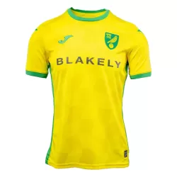 Dresovi Norwich City Domaći 2024/25 Dresovi Norwich City Domaći 2024/25