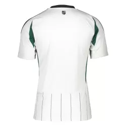 Dresovi Schalke 04 Gostujući 2024/25