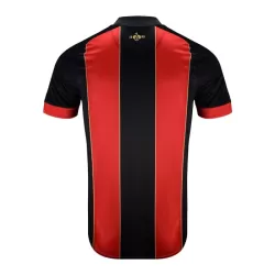 Dresovi AFC Bournemouth Obljetnica 2024/25