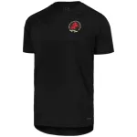 Dresovi Aston Villa Obljetnica 2024/25