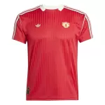 Dresovi Manchester United Terrace Icon 2024/25