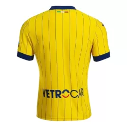 Dresovi Hellas Verona Četvrta 2024/25