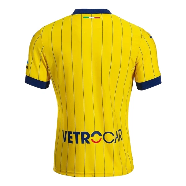 Dresovi Hellas Verona Četvrta 2024/25