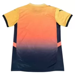 Dresovi Galatasaray SK 2025/26 - Specifična