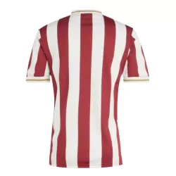 Dresovi FC Nurnberg Obljetnica 2024/25