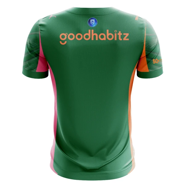 Golmanski Dresovi PSV 2025/26 Zelena