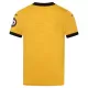 Dresovi Wolverhampton Domaći 2025/26