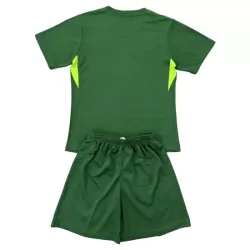 Dječji Golmanski Dresovi Chelsea 2025/26 Zelena