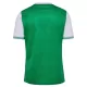Dresovi AS Saint-Étienne Domaći 2025/26
