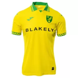 Dresovi Norwich City Domaći 2025/26 Dresovi Norwich City Domaći 2025/26