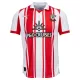 Dresovi Southampton Domaći 2025/26