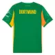 Golmanski Dresovi Borussia Dortmund 2025/26 Zelena
