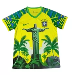 Dresovi Brazil 2025 Zelena - Specifična Dresovi Brazil 2025 Zelena - Specifična