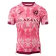 Dresovi Norwich City Treći 2025/26