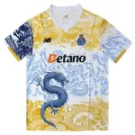 Dresovi FC Porto Dragon 2025/26 - Specifična