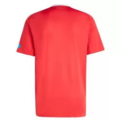 Dresovi FC Nurnberg Treći 2025/26