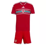 Dječji Dresovi Wales Domaći SP 2026