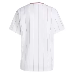 Dresovi Aston Villa Terrace Icons 2025/26