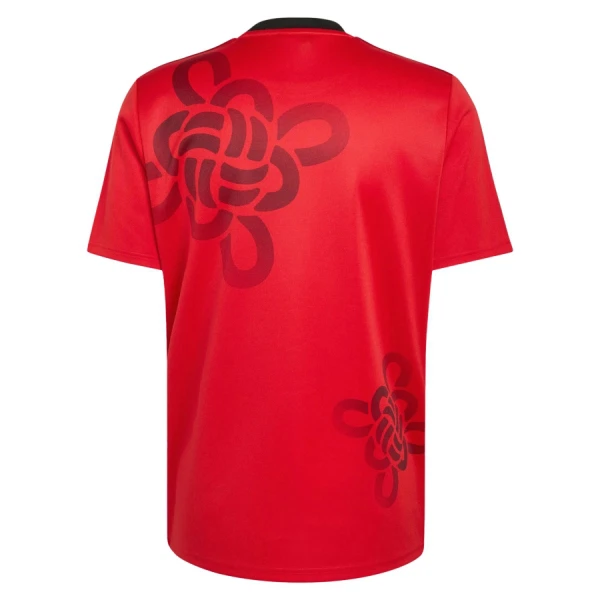 Dresovi Manchester United Chinese Lucky Knot 2026 - Specifična
