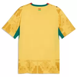 Dresovi Gana Gostujući SP 2026