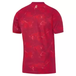 Dresovi Poljska Gostujući 2026