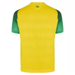 Dresovi FC Nantes Domaći 26/27
