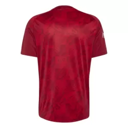 Dresovi Liverpool Pre-Match 26/27