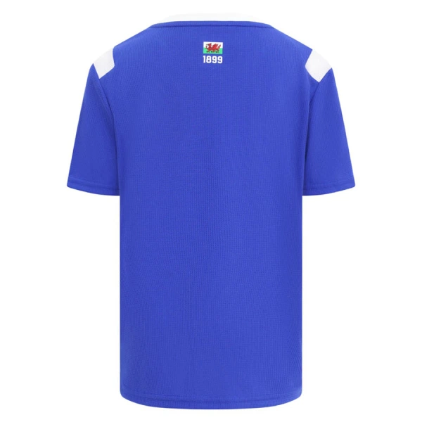 Dresovi Cardiff City Domaći 26/27