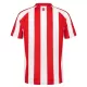 Dresovi Sunderland Domaći 26/27